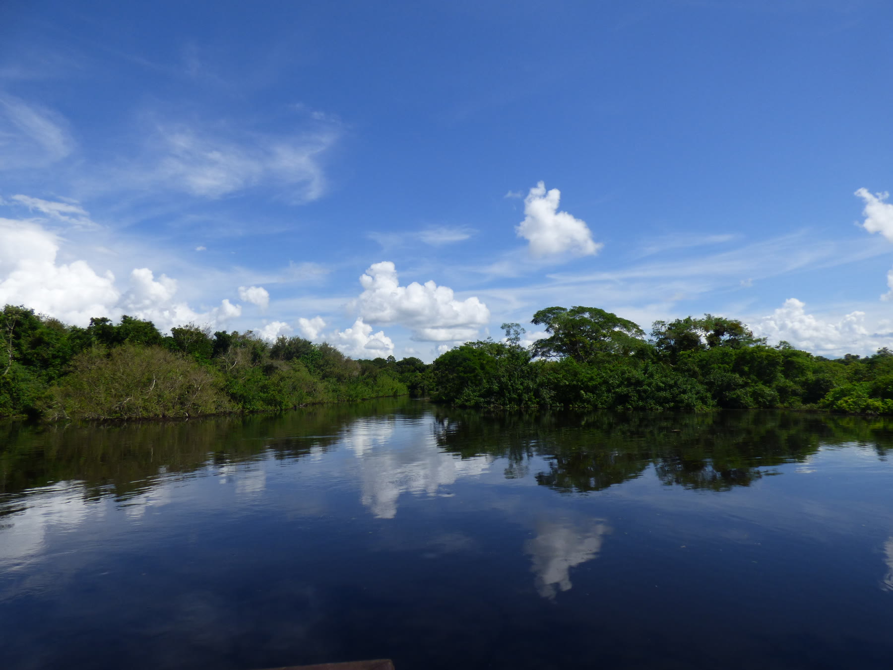 Bomen en wolken weerspiegelen in het water van de Pampas del Yacuma